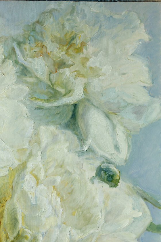 Three white peonies 90x80