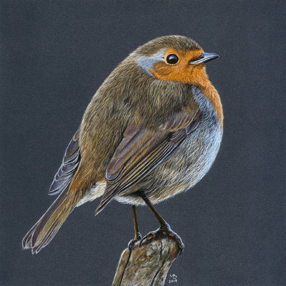 Original pastel drawing bird "European robin"
