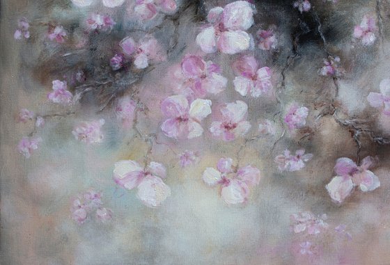 Almond Dream