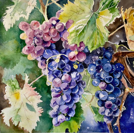 Vivid Grapes