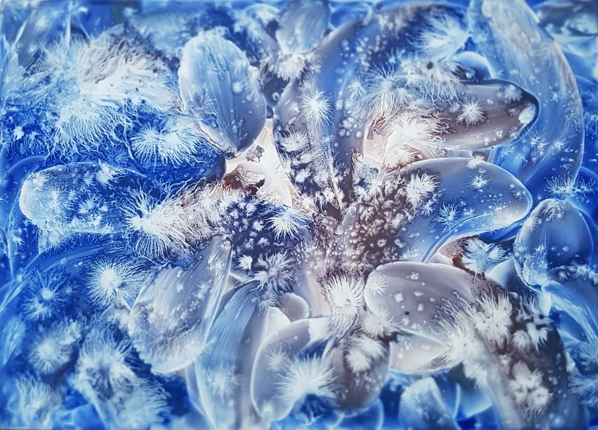 Spring frost by Dalia Binkiene