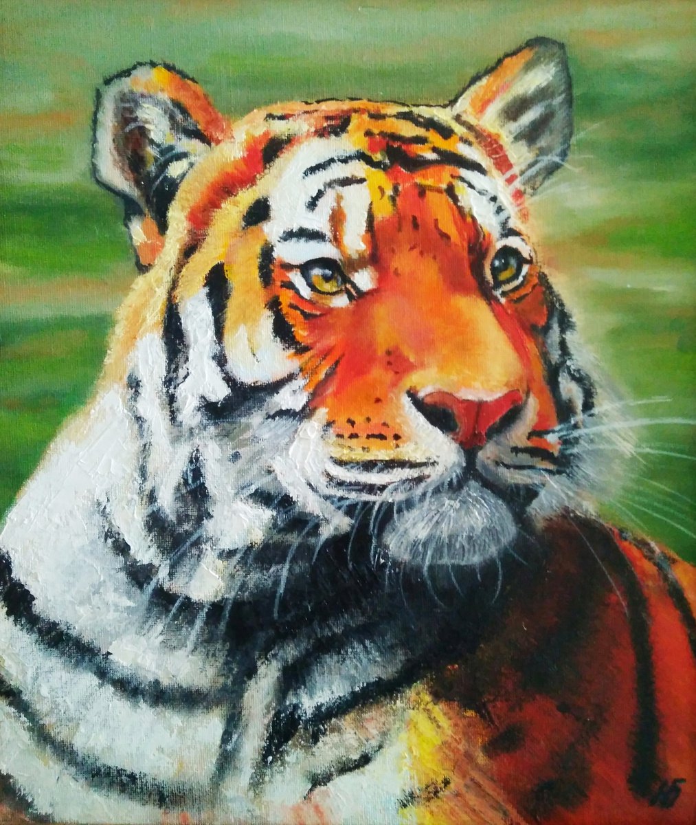 Tiger by Yulia Berseneva