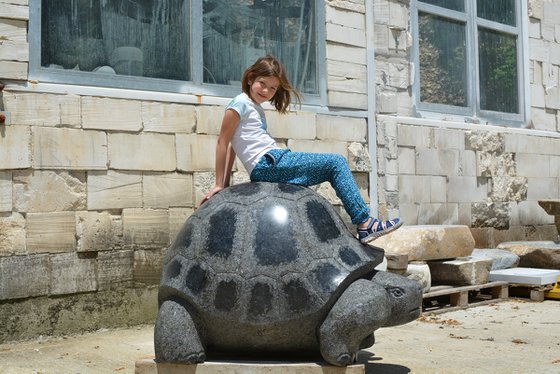 "Giant Tortoise"