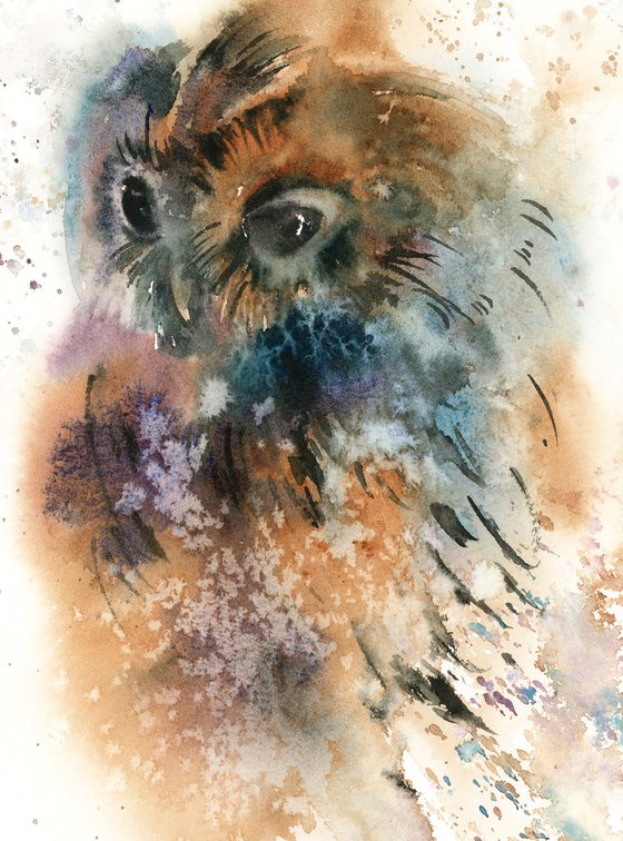 Colorful Owl Watercolor Painting