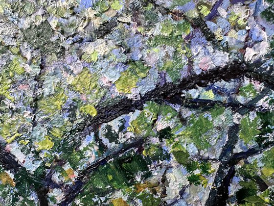 Apple Trees in Tetritskaro