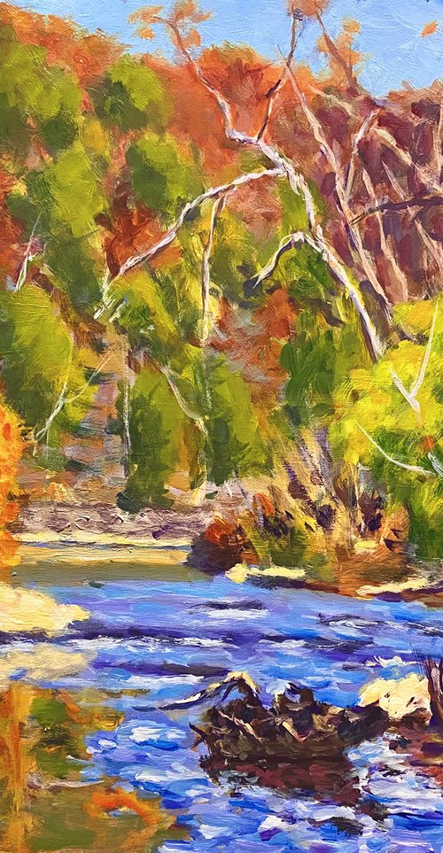 Afternoon on the Jacks Fork by Daniel Fishback