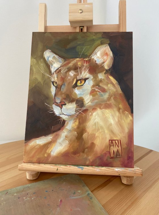 Mountain lion