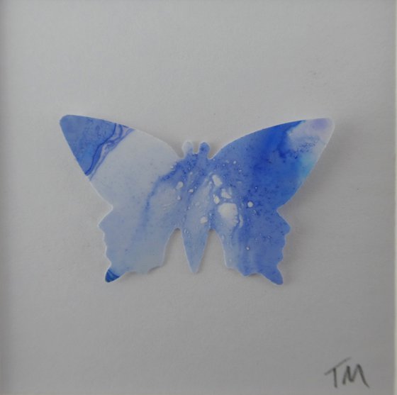 One pale blue Butterfly