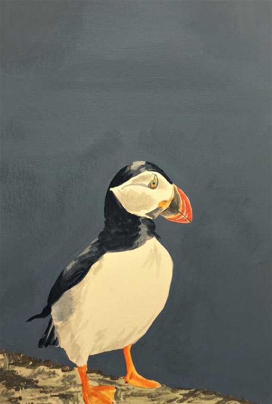 Puffin #4