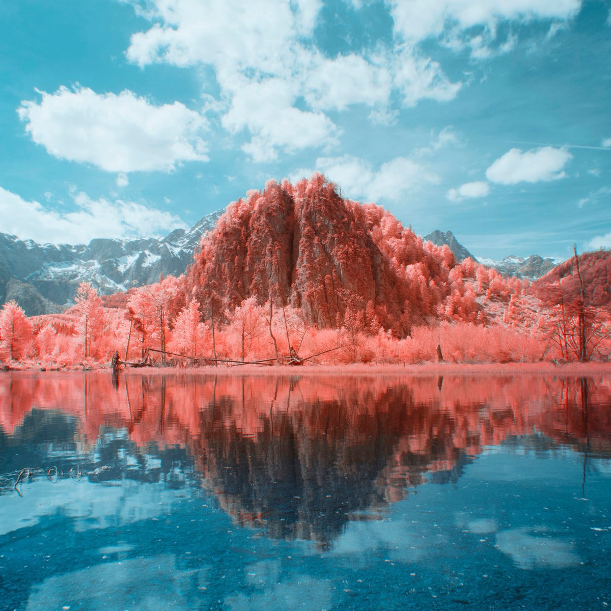 Surrealistic Landscape Photograph By Robert Kohlhuber, 16 X 16", Pink Lake, Original Artwork