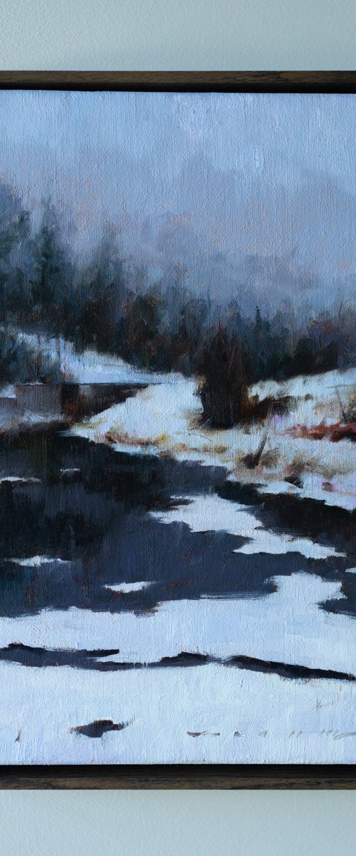 Icy Reflections by ROSTYSLAV MALYSH