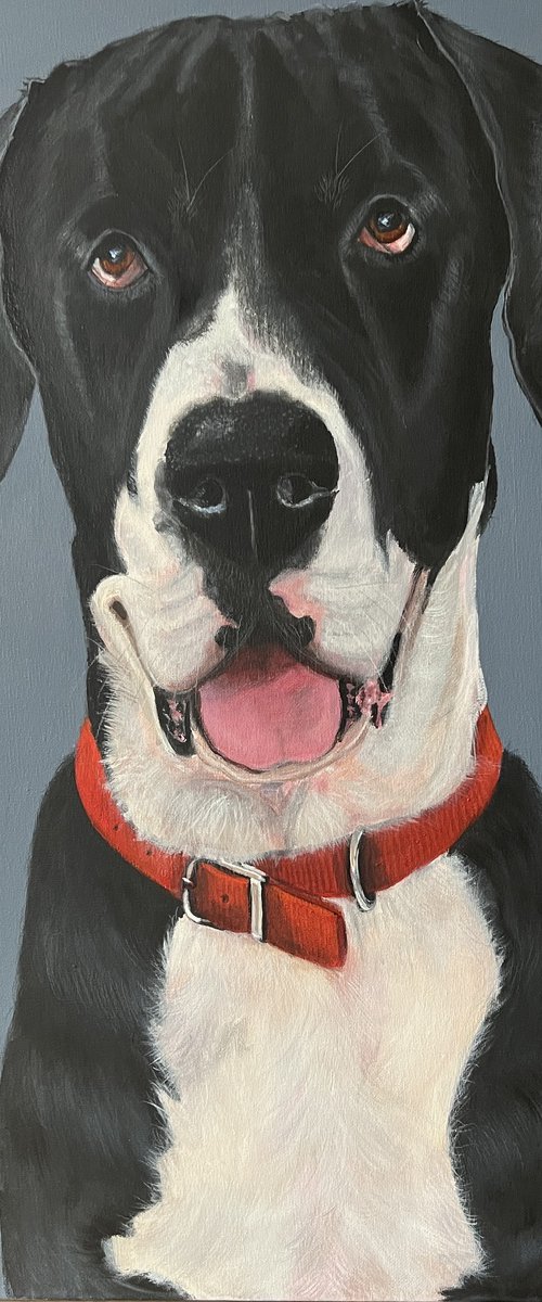 LEON - THE GREAT DANE by ELAINE ASKEW