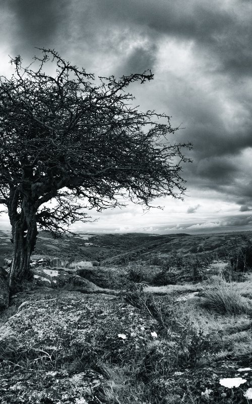 Classic Dartmoor by Paul Nash