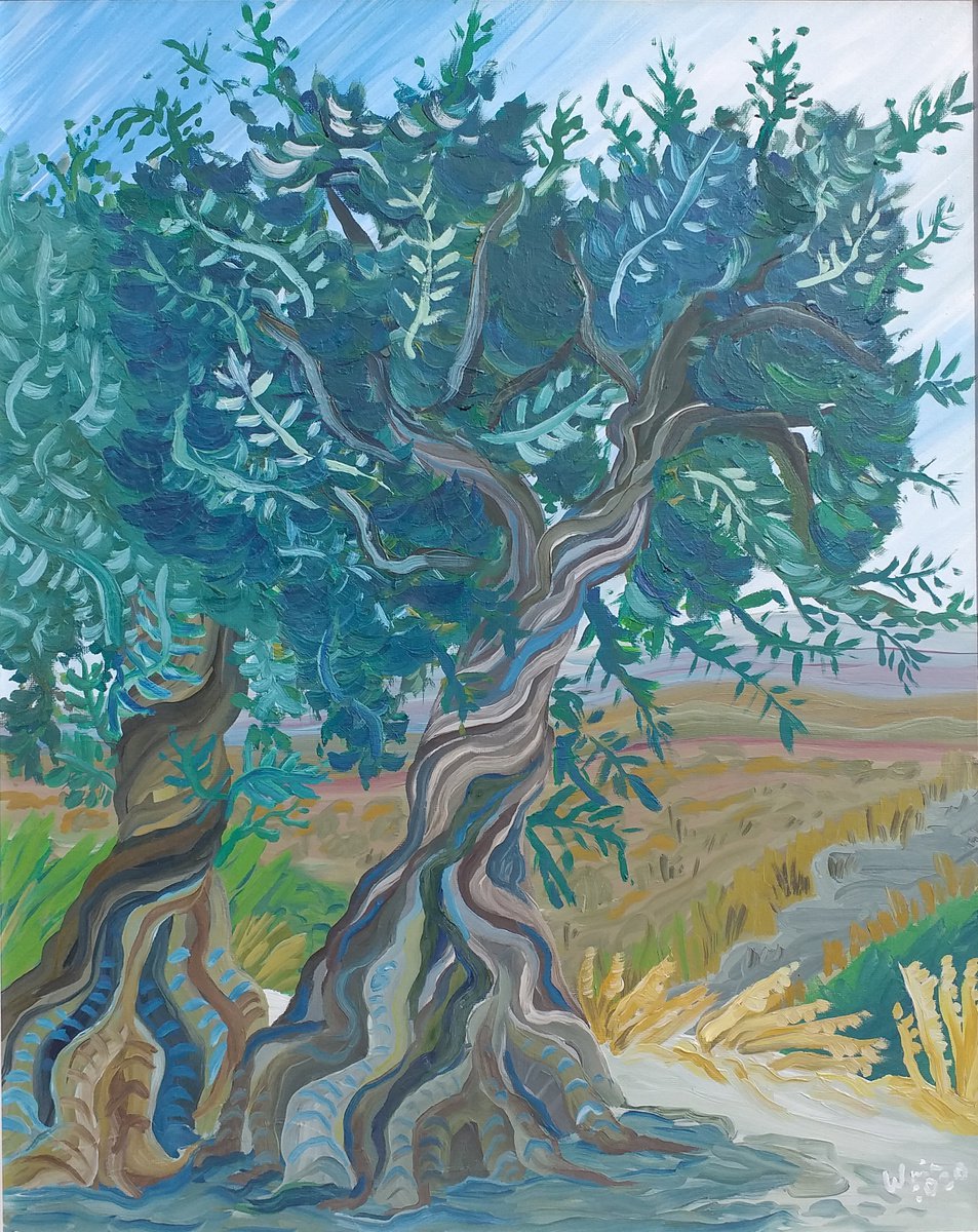 Olive trees in Alhaurin el Grande by Kirsty Wain