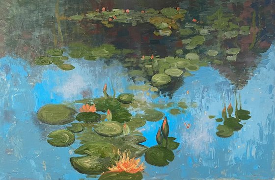Water lily garden