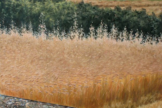 Harvest in Rabbit Slopes