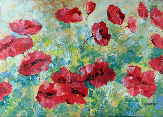 Poppies 10