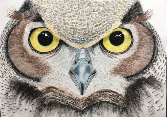 Large Owl Drawing (85x59cm)