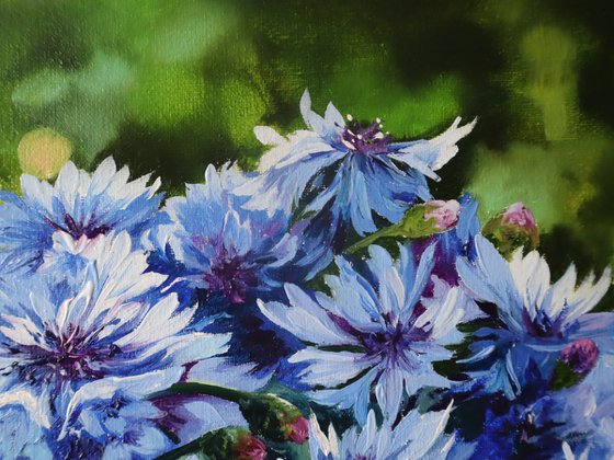 Cornflowers Summer Still Life