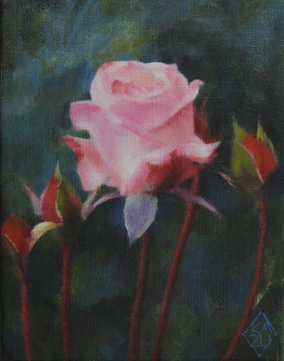 Rose and the Stream of Time
