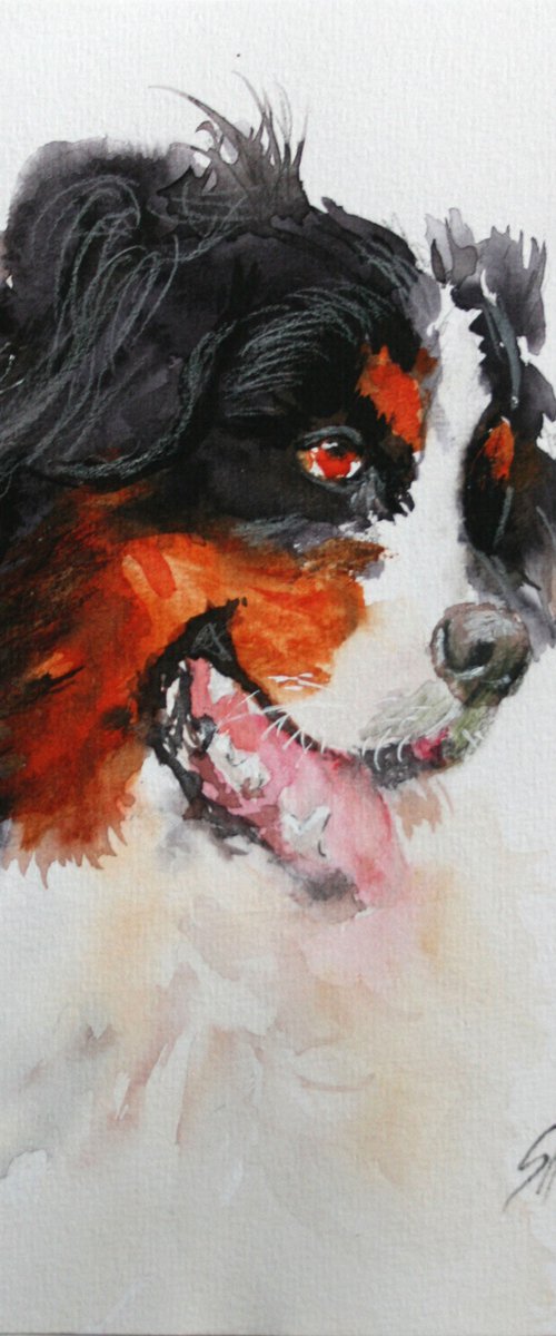 Dog by Salana Art