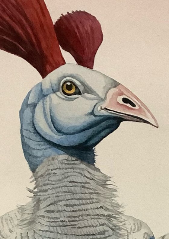 Fabled Fowl