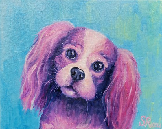 Cavalier King Charles Spaniel. 50x40 cm