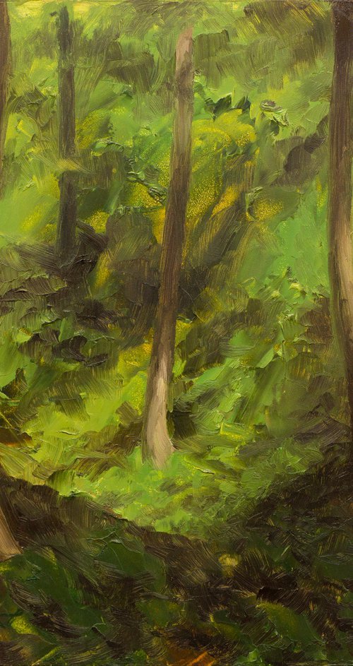 Down By The Canal by Anthony Galati