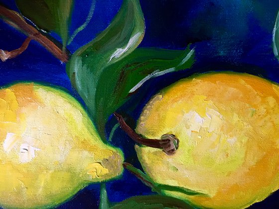 LEMONS.. Still life.#5