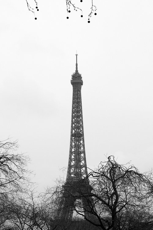 La Tour Eiffel by Elena Raceala