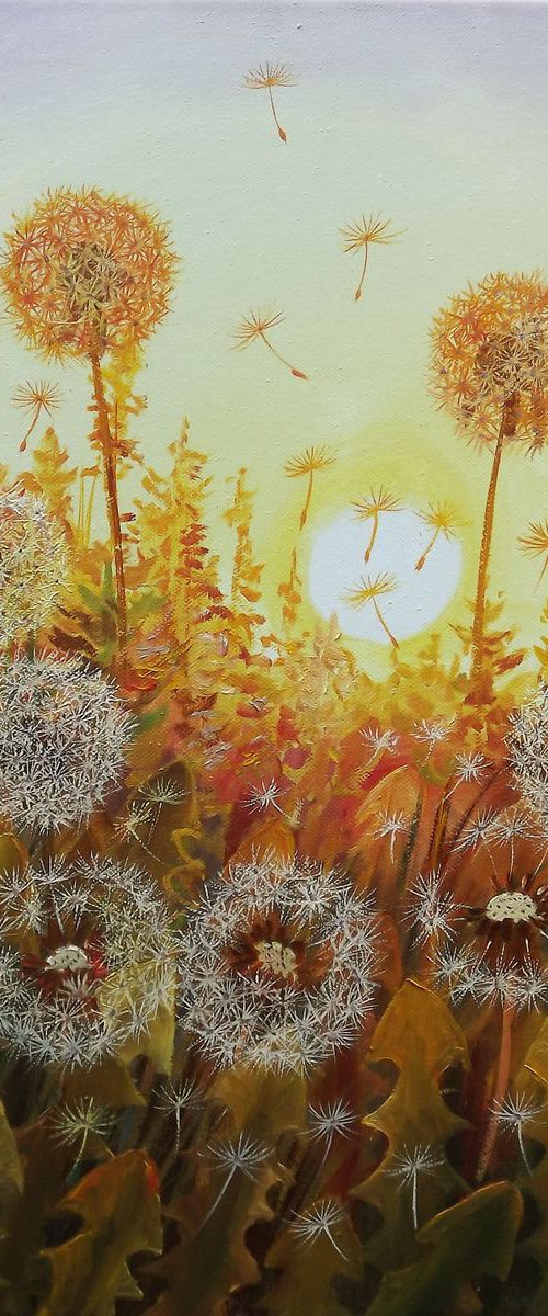 Dandelions in the Sun 2 *Reserved* by Oleg Riabchuk