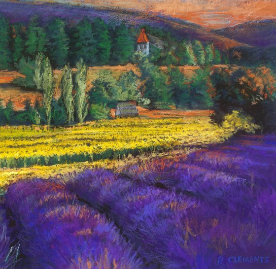 French Lavender fields and corn fields