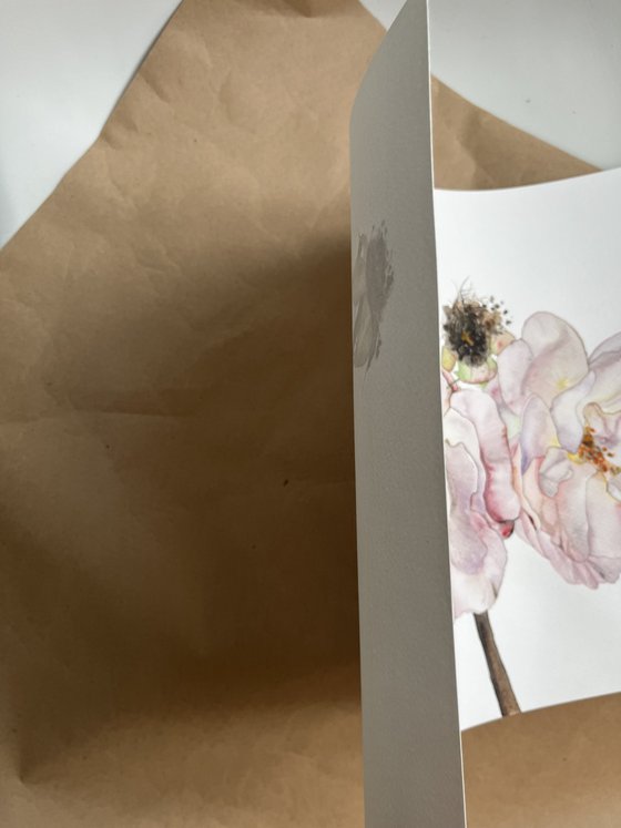 Duo roses pastel