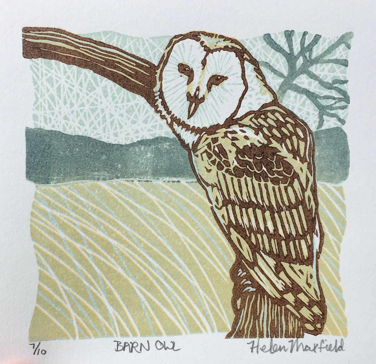 Barn Owl by Helen Maxfield