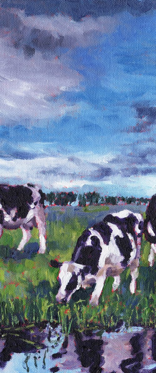 Cattle in Water Meadow by Zoe Elizabeth Norman