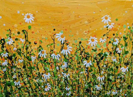 Morning Daisy Delight #6 - Reserved