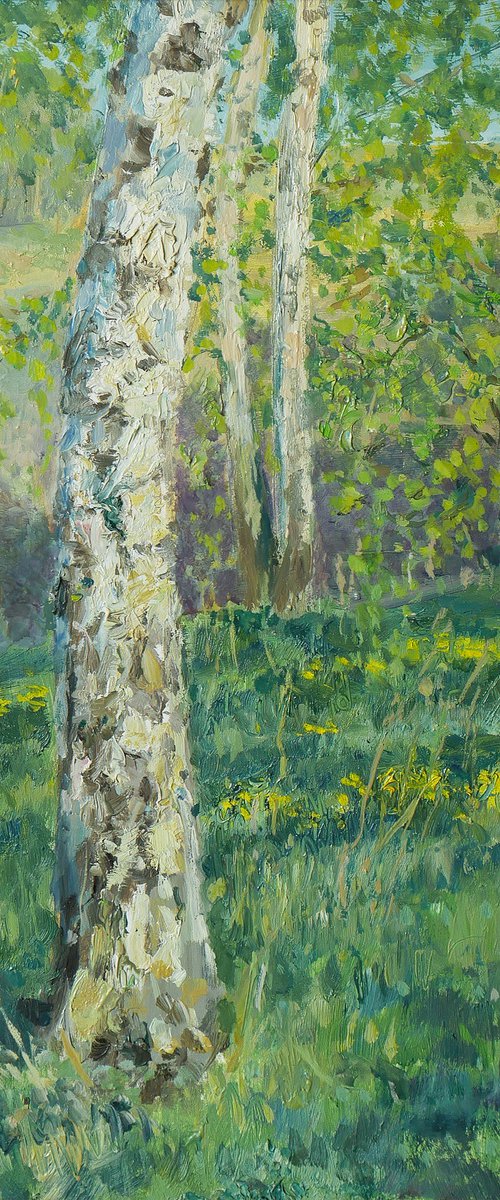 The Sunny Birch Forest by Nikolay Dmitriev