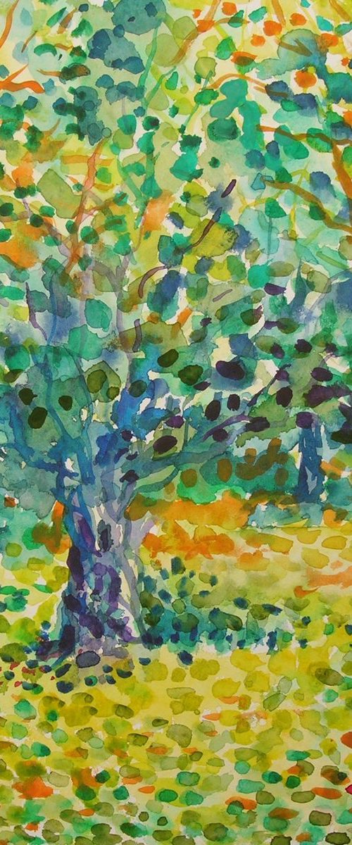 Olive garden by Maja Grecic