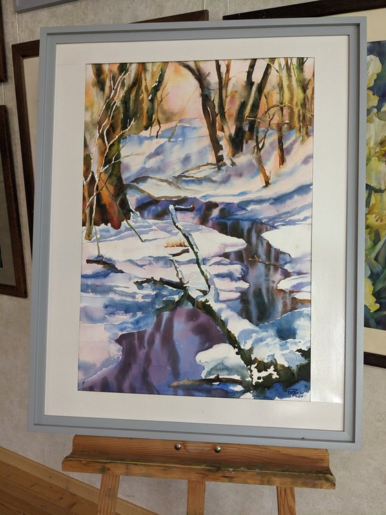 Forest stream