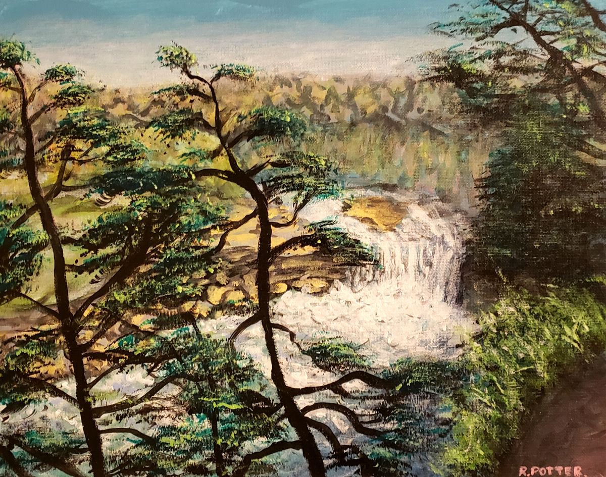 Cumberland Falls by Robbie Potter
