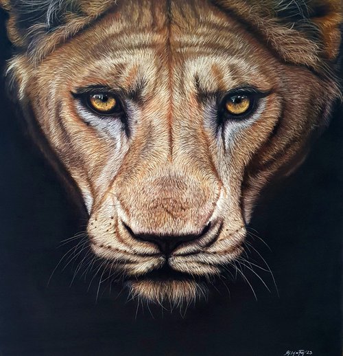 'Huntress' lioness pastel painting by Silvia Frei