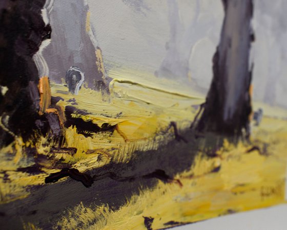 Misty Morning Australian Landscape