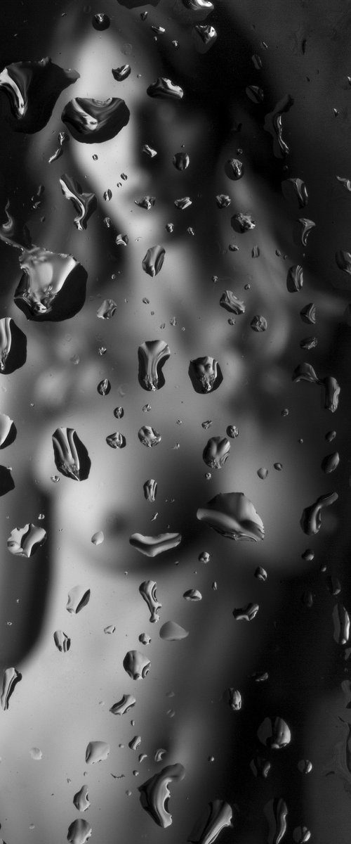 Refraction #52 by Robert Tolchin