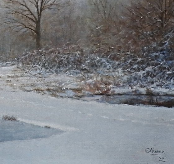 Snowlandscape with ducks