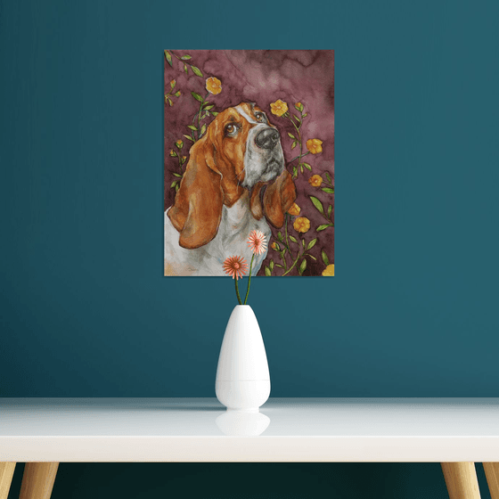 Bassett in love - dog portrait