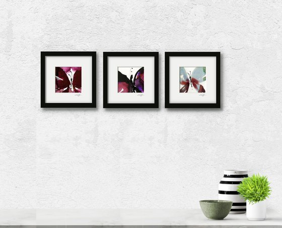 Butterfly Joy Collection 7