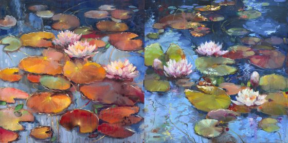 Water lilies