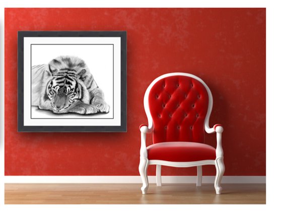 Melancholy Tiger