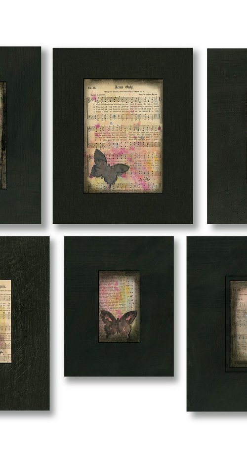 Butterfly Medley Collection 4 by Kathy Morton Stanion