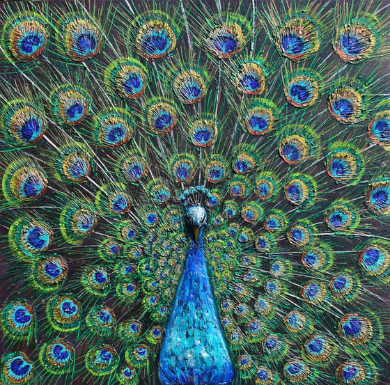 Peacock